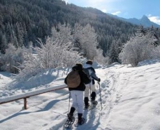  Un plamarro de salud en el corazón de la montaña